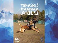 Kem Afiş